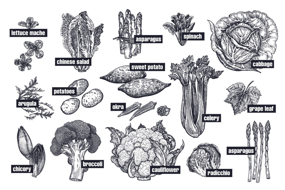 Vegetables and mushrooms., a Food Illustration by MarinaVorontsova (Photo 5 of 10)