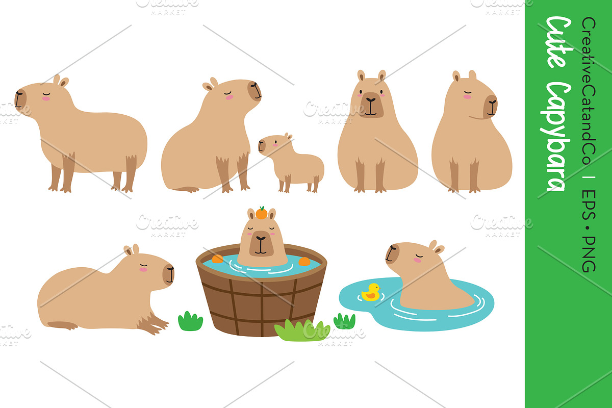 Cute Capybara Vector EPS PNG Set, an Animal Illustration by CreativeCatandCo