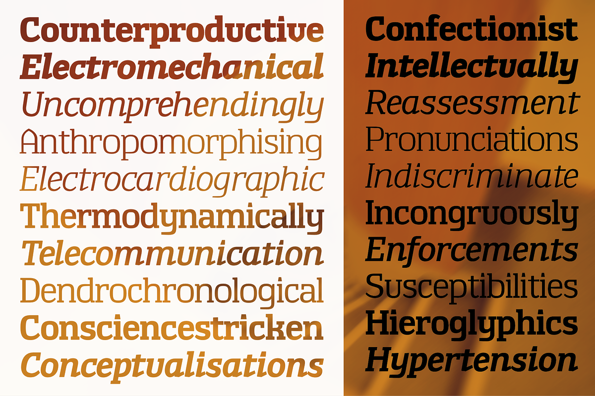 TA Shusha, a Slab Serif Font by TAFT Foundry (Photo 3 of 13)