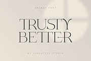Bruney - Classy Ligature Font, a Serif Font by Sensatype (Thumbnail 13 of 19)