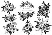 Ink floral collection. Floral ABC, an Illustration by Vera●Suleimanova (Thumbnail 4 of 19)