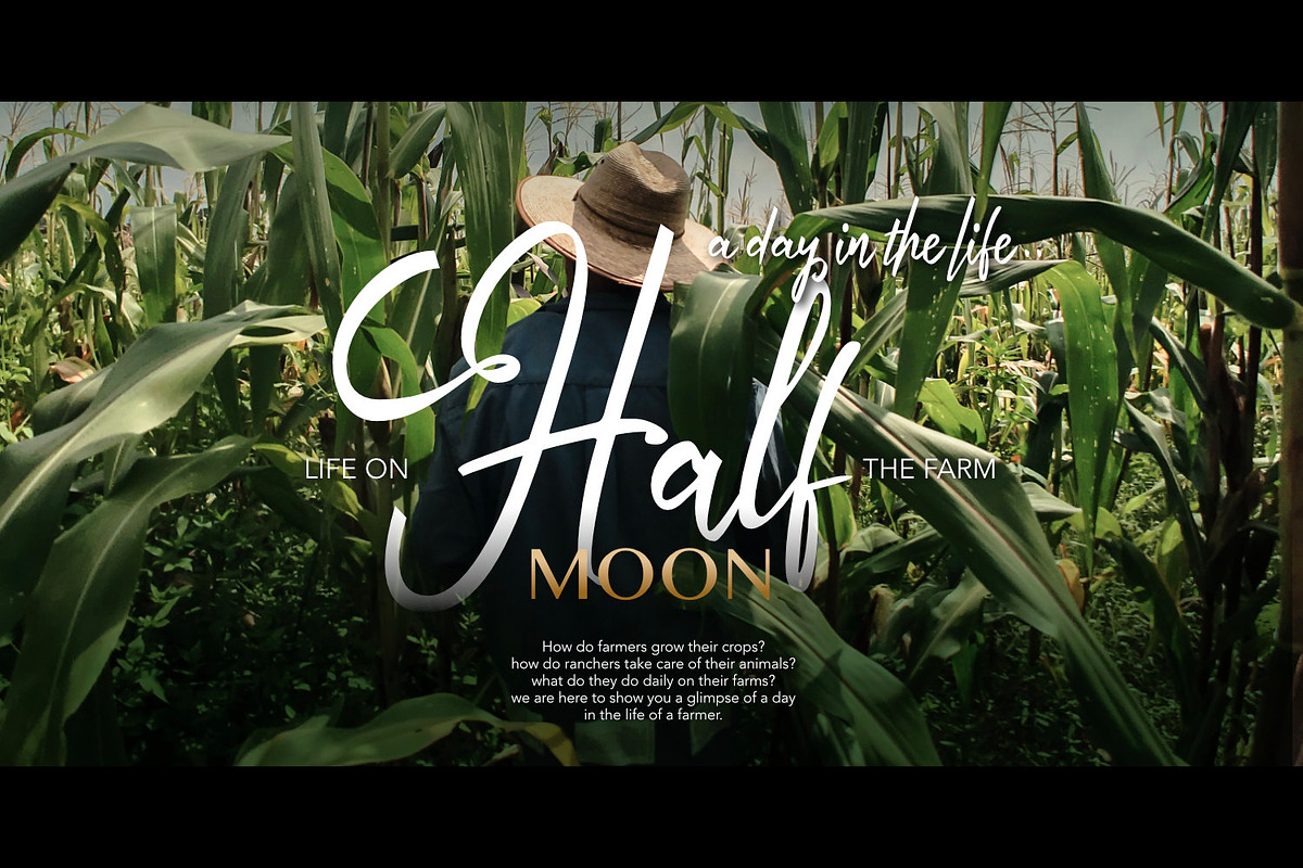Autumn Field - Handwriting Type, a Script Font by ikiiko (Photo 4 of 7)