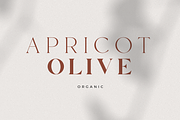 Hello Paris - Variable Duo, a Serif Font by Sans & Sons (Thumbnail 11 of 29)