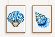 Watercolor Seashell Clipart, an Illustration by Libby Wishes (Thumbnail 2 of 5)