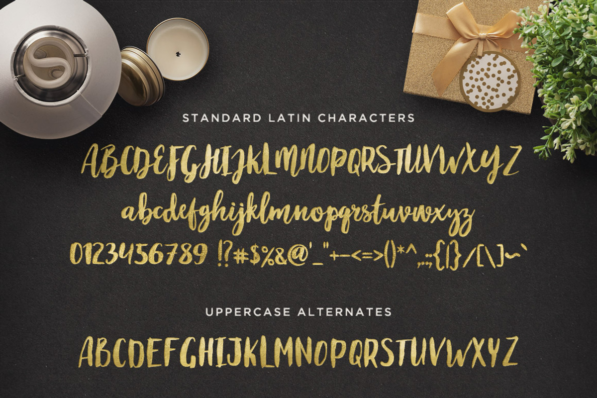 Maloishe Brush Script Font preview 2