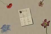 MIA I Resume Kit, a Presentation Template by Studio Brand (Thumbnail 3 of 8)