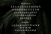 Mulnir Modern Serif Font, a Serif Font by Alfinart (Thumbnail 11 of 11)