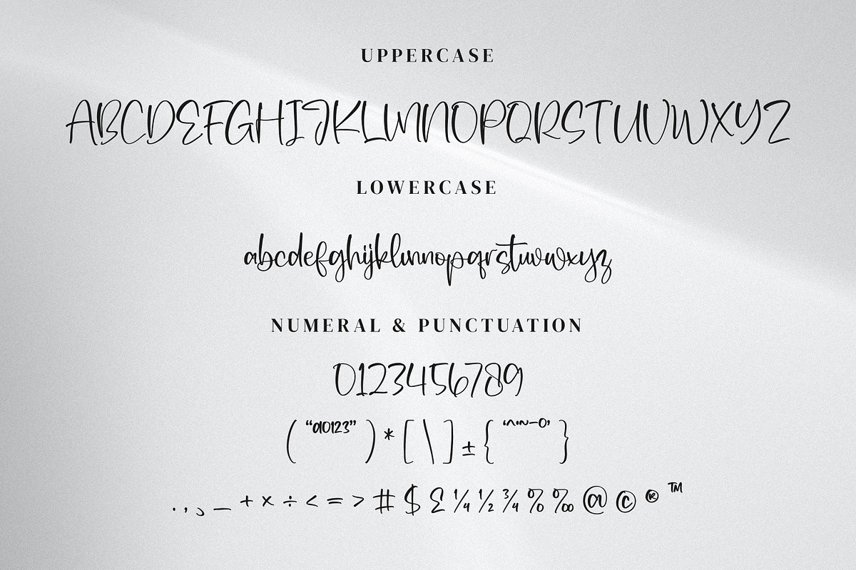 Woman Friend, a Script Font by Integritype Studio (Photo 8 of 14)