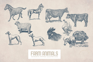 55 Vintage Farm Animals