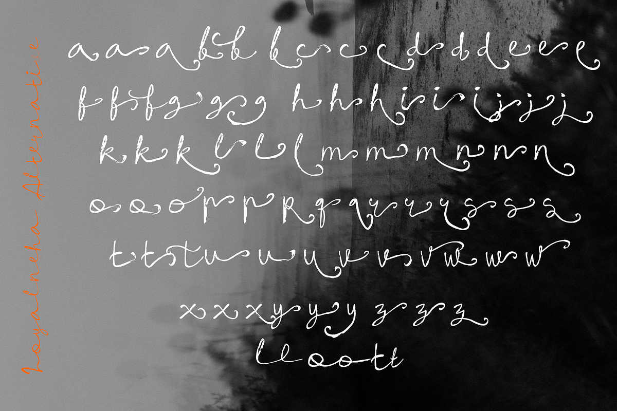 Loyalneha Brush Script, a Script Font by madeDeduk (Photo 6 of 8)