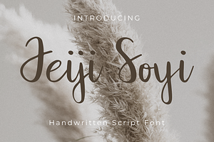 Jeiji Soyi Script Font