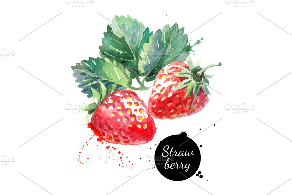 Watercolor Berries Vector Set, a Food Illustration by Elena Pimonova (Photo 3 of 4)