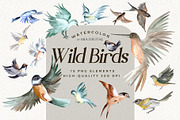 Watercolor Birds Clipart Set, an Animal Illustration by Mia Digital (Thumbnail 1 of 5)