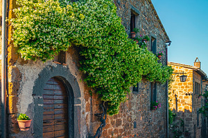 Entrance decorated with jasmine, an Architecture Photo by Alpine Dreams