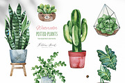 Watercolor Potted Plants, an Object Graphic by Kate_Rina (Thumbnail 2 of 4)