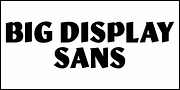 Big Display Sans JNL, a Sans Serif Font by Jeff Levine Fonts (Thumbnail 2 of 5)