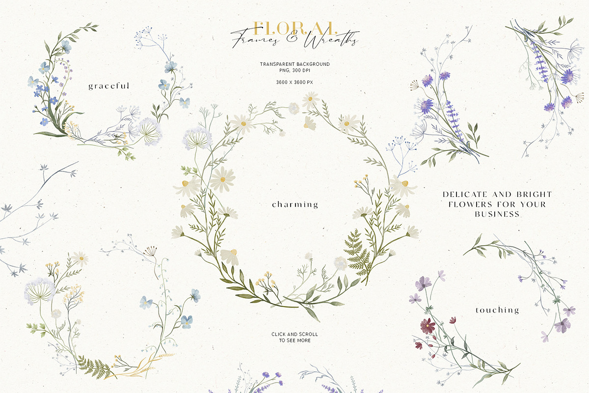 Wildflowers. Watercolor collection, an Illustration by annartdreams (Photo 4 of 14)