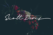Scripture, a Script Font by Secondivison Supply (Thumbnail 4 of 6)