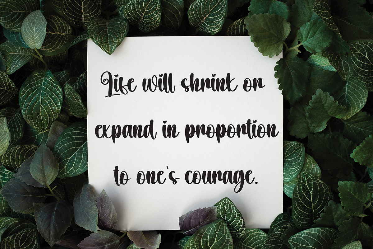 Citynight | Script Font, a Handwritten Font by Scratchones (Photo 4 of 8)