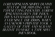 Lessa - Serif Font (10 Fonts), a Serif Font by Maculinc Type (Thumbnail 17 of 18)