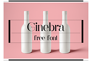 Ginebra, a Font by yaisalinas (Thumbnail 1 of 6)
