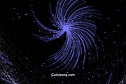 Cosmos II, an Illustration by Colorpong (Thumbnail 10 of 10)