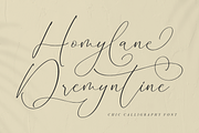 Homylane Dreamyntine Chic Calligraph, a Script Font by Storytype Studio (Thumbnail 1 of 15)