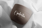 Chinstrap Stucky Bold Brush Font, a Script Font by stylishtype.co (Thumbnail 3 of 20)