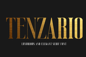 Tenzario | Elegant Serif Typeface