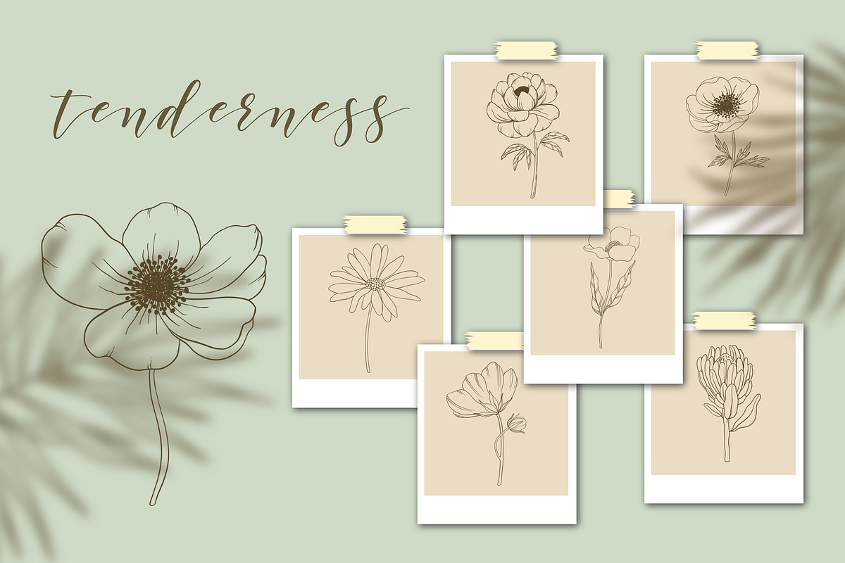 Flower Stamps for procreate, a Brush Add-On by Natalya_Mona_Art (Photo 2 of 6)