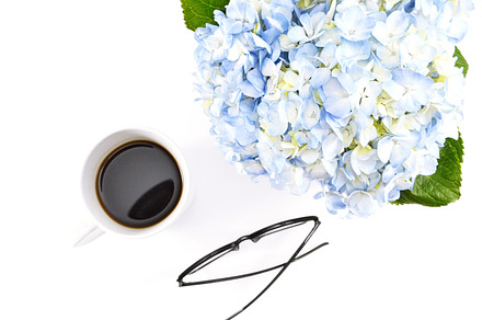 Minimals desktop stock photo 14 featuring blue hydrangea, desktop, and coffee, a Business Photo by Pixistock