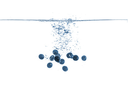 some blue graope berries isolated