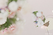 FLORA.PNG | Blurry Flower Collage, an Object Graphic by ana & yvy (Thumbnail 20 of 23)