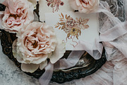 Fall Autumn set- Pumpkins & Florals, a Seasonal Illustration by Grace Noboa Illustrations (Thumbnail 5 of 13)
