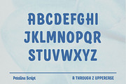 4 Fonts Combo, a Script Font by Kochev Type (Thumbnail 9 of 35)
