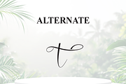 Natural | Script Font, a Handwritten Font by Scratchones (Thumbnail 8 of 9)