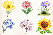 Watercolor Flower Clipart, an Illustration by Watercolor design (Thumbnail 4 of 4)