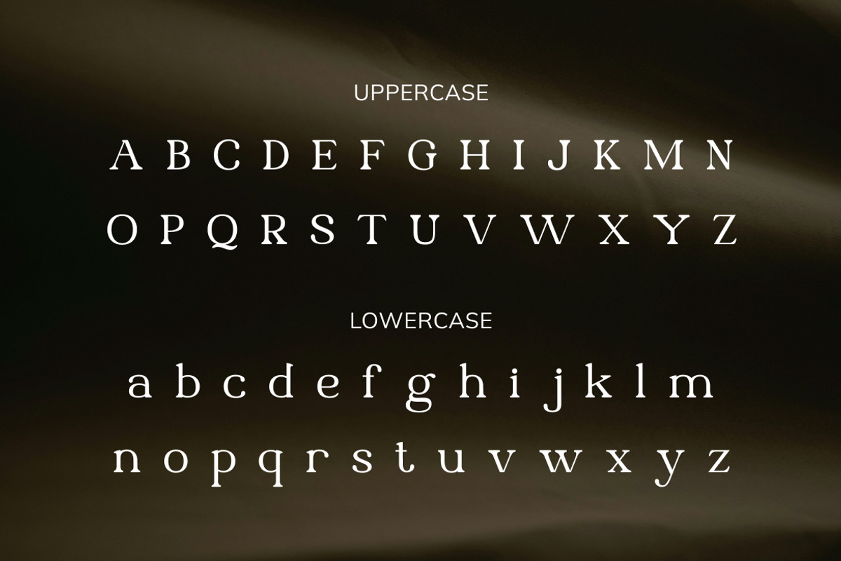 Queenia – Modern Elegant Serif Typef, a Serif Font by Vadovastd (Photo 10 of 11)
