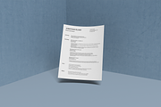 Professional Resume Template, a Resume Template by Cassandra Cappello (Thumbnail 2 of 2)