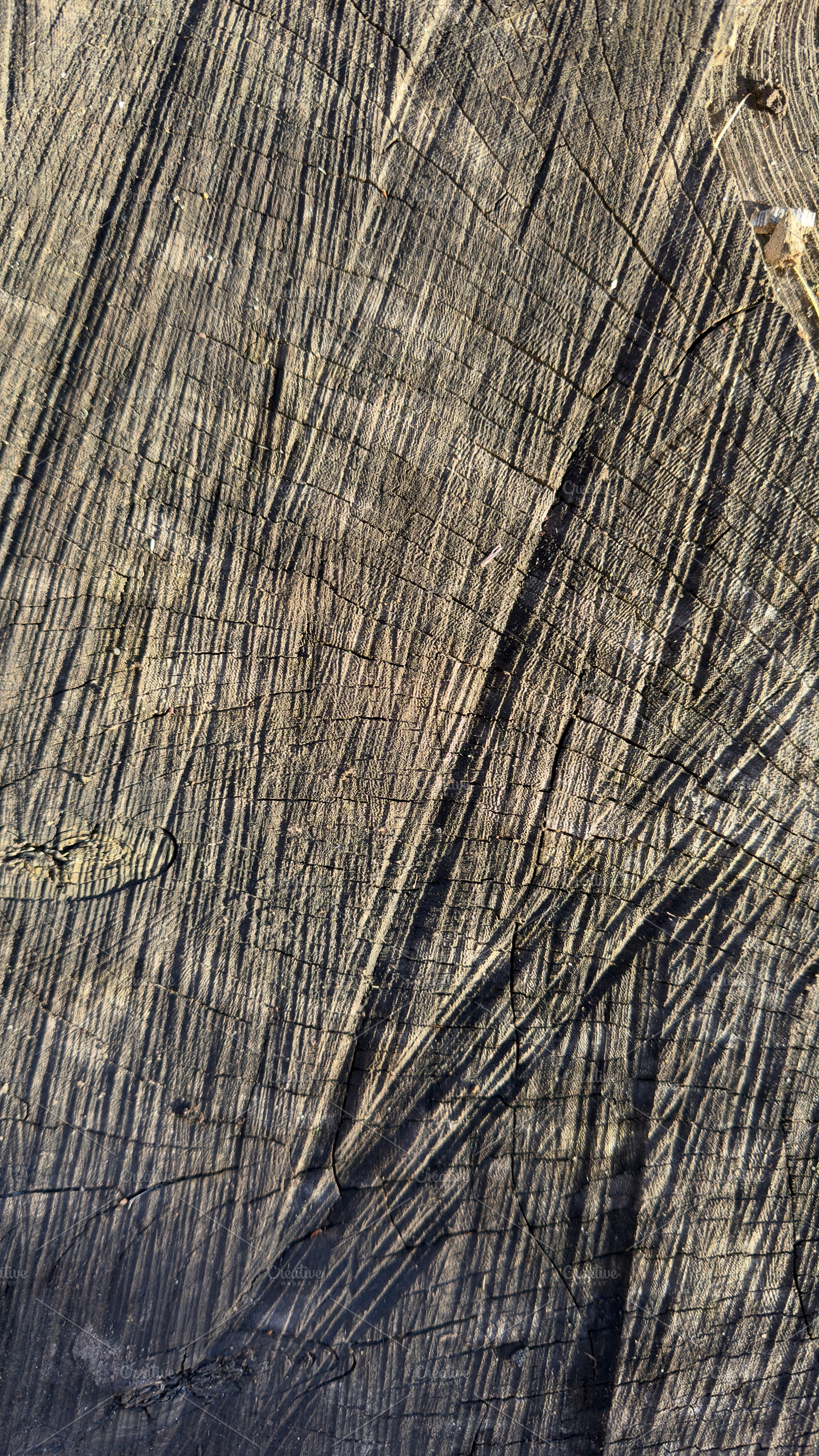 Close-up of a textured wooden surface with visible grain patterns and scratches, a Nature Photo by Textures & Backgrounds