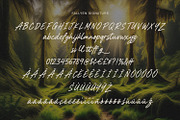 Fallyen Font Duo Signature Sans, a Script Font by Maulana Creative (Thumbnail 6 of 7)