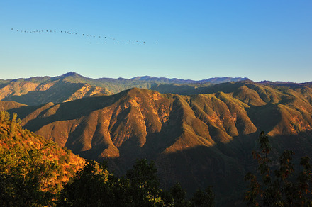 The bird's flight above pass Tioga, a Photo by kavram