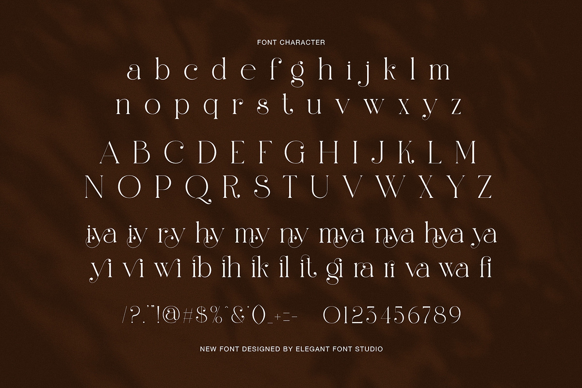Qaliyan Elegant Serif Font, a Serif Font by Elegant Font (Photo 8 of 8)