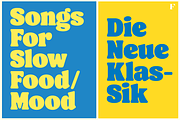 Berliner Typeface, a Serif Font by Fenotype (Thumbnail 8 of 15)