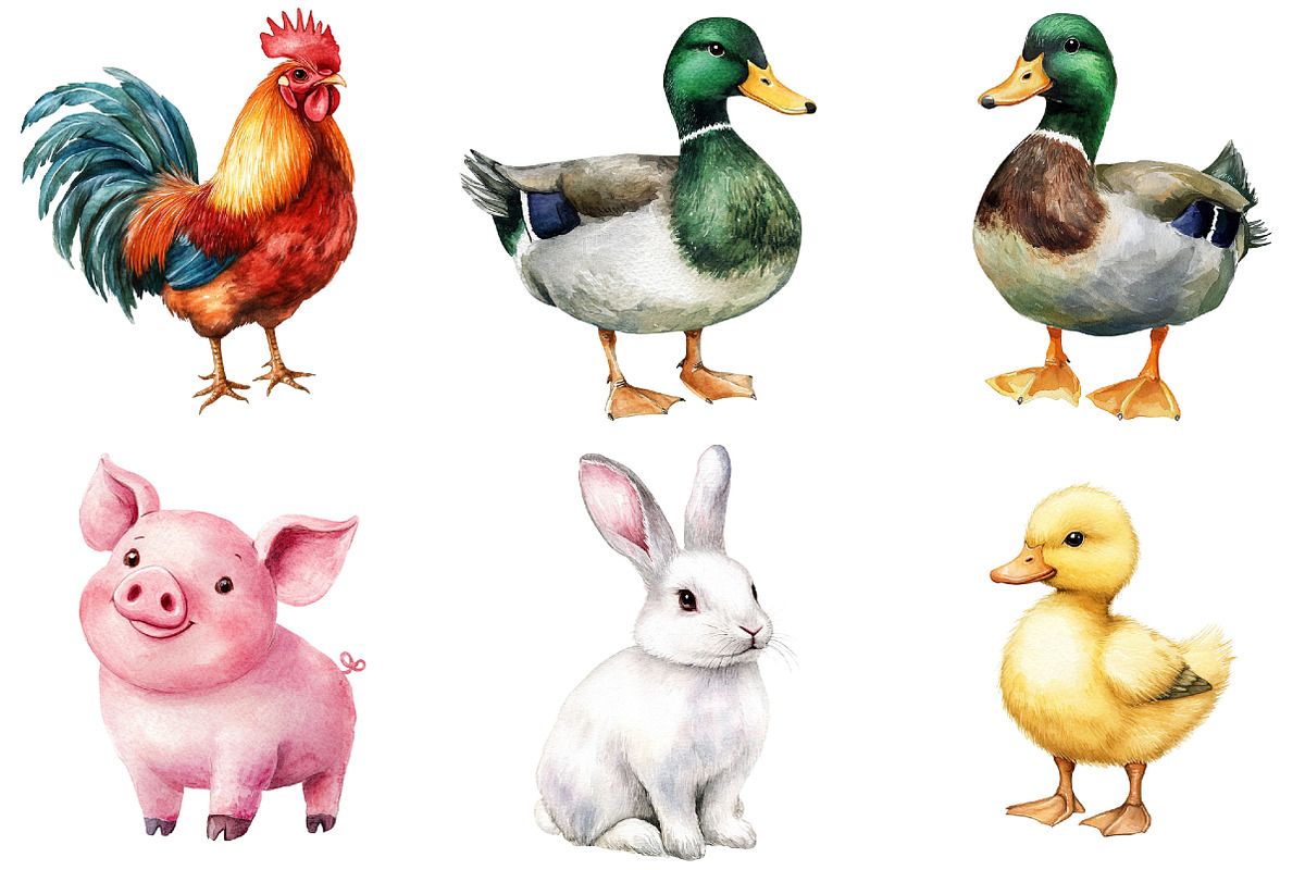 Quirky Farm Animals Clipart PNG, a Seasonal Illustration by CitraGraphics (Photo 4 of 4)