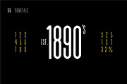 Tall Eagle, a Sans Serif Font by Dead Moose Studio (Thumbnail 6 of 12)