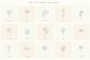 Botanical Hand Drawn Designs, Logos