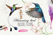 Over 120PNG watercolors, an Illustration by Alisa Mikibith Art (Thumbnail 7 of 15)