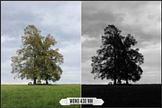 Spectrum Black & White profiles LUTs, a Plug-in Add-On by Raztrend (Thumbnail 15 of 31)