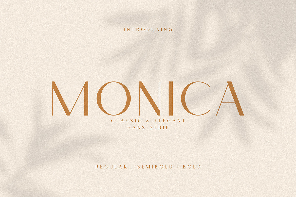 Monica - Classic & Elegant Sans, a Sans Serif Font by Mikhail Fukurou (Photo 1 of 12)